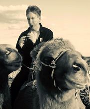 World Maestro Colin O'Donohoe image