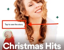 Spotify Stories image